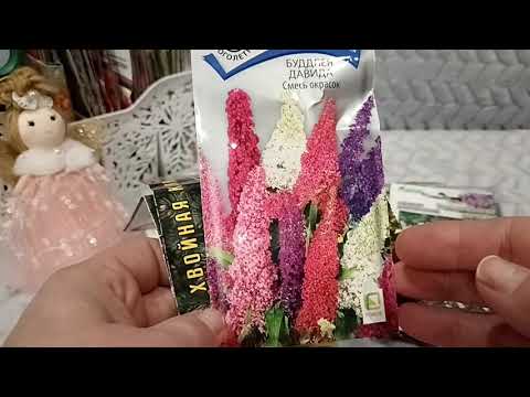 Видео: 💐цветы, цветы и ещё раз цветы 💐 Обзор на 2026год 