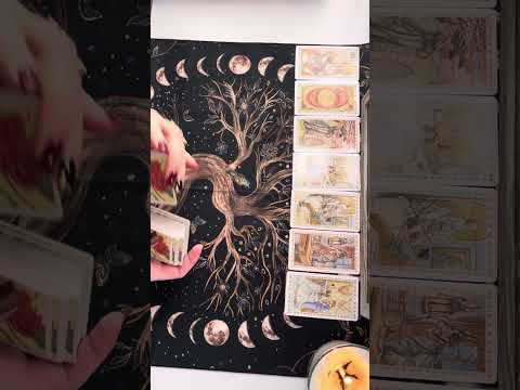 Видео: Отшельник в тоске- печали. Часть 1.👆🧐😂💫