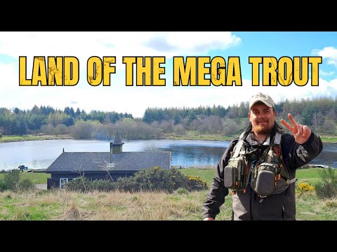 Видео: Рыболовство Ledyatt Trout Fishery – Земля шотландской мегафорели