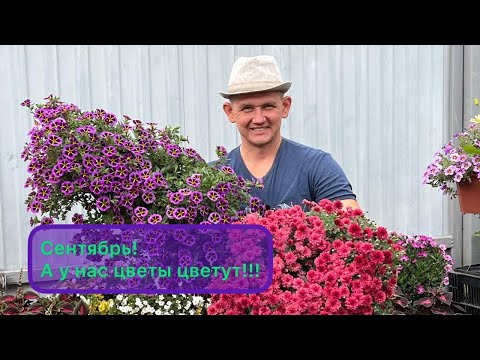 Видео: Цветочные композиции Осень 2022