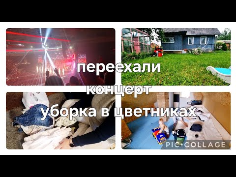Видео: 🌺 Летние будни многодетной мамы