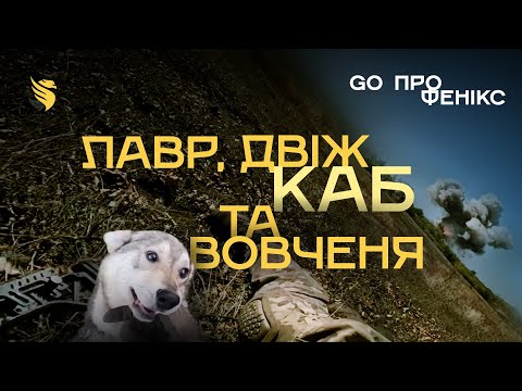Видео: Прильот КАБа, ворожі дрони, заміновані посадки | Як виглядає Покровський напрямок? | GO ПРО Фенікс