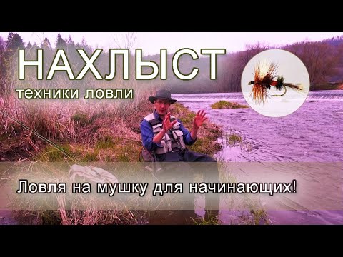 Видео: НАХЛЫСТ ДЛЯ НАЧИНАЮЩИХ: способы ловли на мушку | Fly fishing for beginners: different techniques