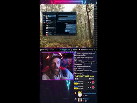 Видео: Stalker 2 (shorts стрім)