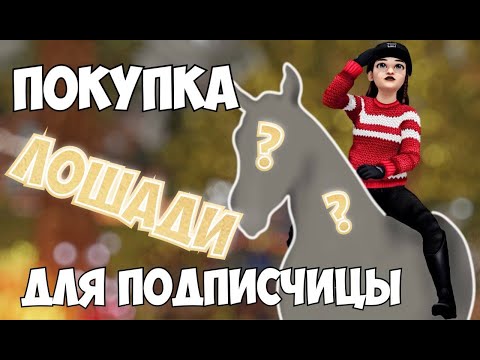 Видео: ПОКУПКА РАНДОМНОЙ ЛОШАДИ ПОДПИСЧИЦЕ|STAR STABLE|ЕЙ НЕ ПОНРАВИЛОСЬ?
