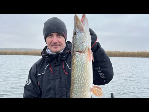 Видео: Осенние щуки на реке Южный Буг!