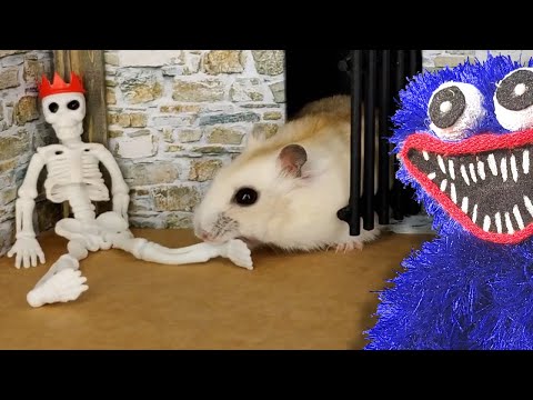 Видео: Хомяк съел человека. Даже Хагги Вагги не позволял себе такого...