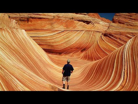 Видео: ▽ Чем может удивить природа? Документальный фильм