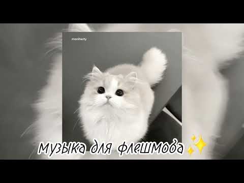 Видео: ✨музыка для флешмоба✨