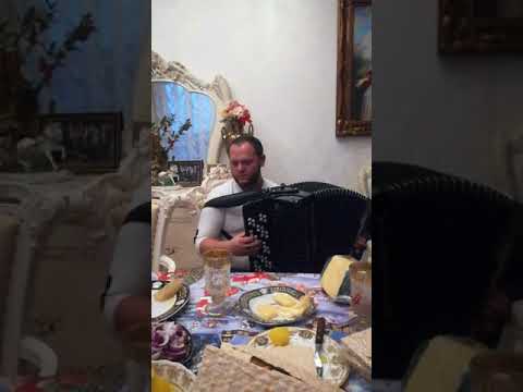 Видео: Лёня чижевич кобрин