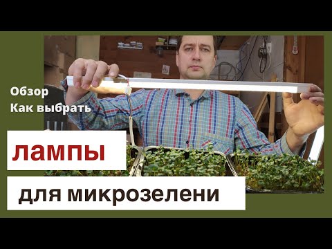 Видео: Какие лампы выбрать для микрозелени новичку