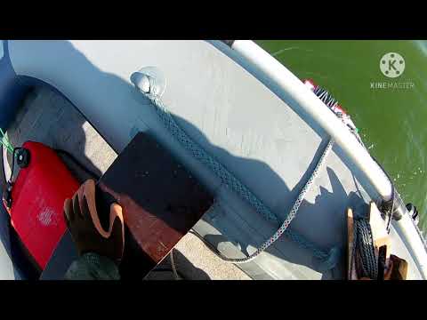 Видео: Камчатка, бухта Авачинская. Рыбалка на краба