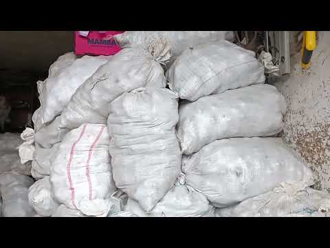 Видео: МОРОЗ ПОШМАТУВАВ ПЕРЕЦЬ,ЗАТО ГАРНО ВРОДИЛА КАРТОПЛЯ