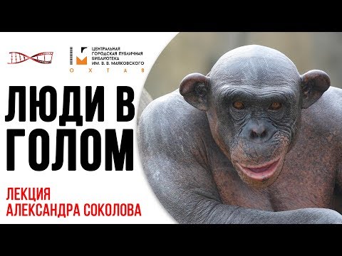 Видео: Александр Соколов. Люди в голом