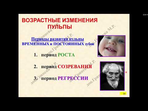 Видео: Гистология. Строение зубов. Пульпа, дентин