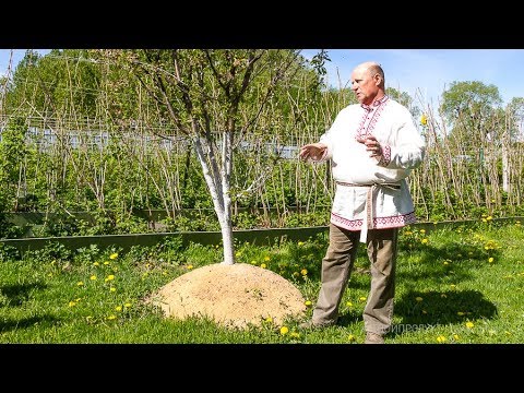 Видео: Как мужик с Урала создал рай в Псковской области