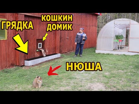 Видео: Эксклюзивная грядка для кошек!