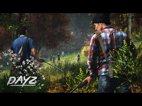 Видео: DayZ сервер на котором ценен каждый патрон