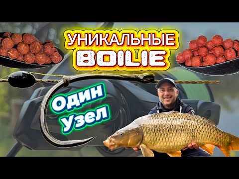 Видео: CARP клевал как БЕШЕННЫЙ! УНИКАЛЬНЫЕ BOILIE которые я сделал дома!
