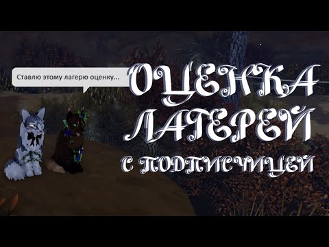 Видео: Оценка лагерей с подписчицей