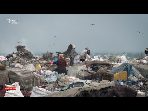 Видео: Голод и отчаяние вокруг опустевшего рынка «Дордой»