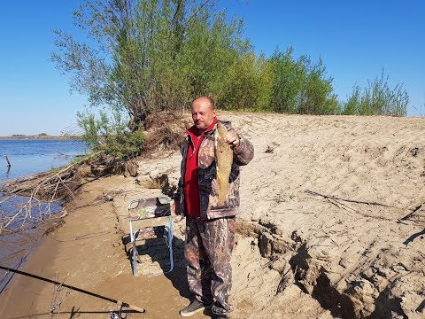 Видео: За карасем и сазанами Амур май 2018