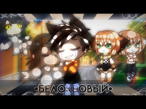 Видео: {🥀🌹Мини фильм 🌹🥀} {☁️💦Белокровый ☁️💦} {gacha club} (ЧИТ. ОПИС)
