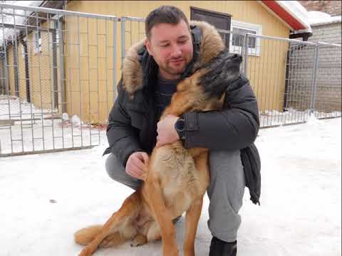 Видео: Возвращение домой