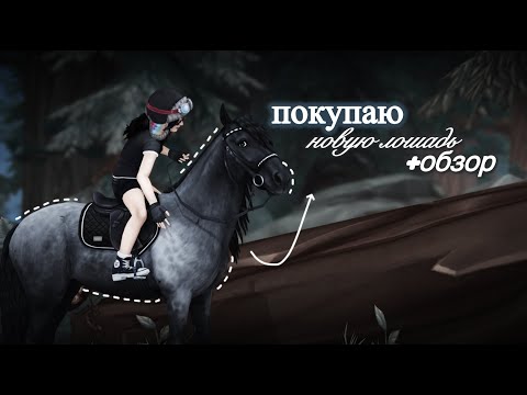 Видео: НОВАЯ ЛОШАДЬ||ПОКУПКА+ОБЗОР