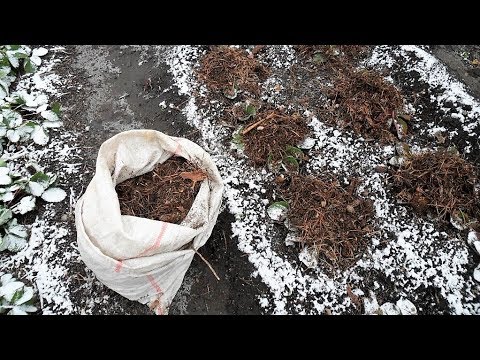 Видео: Укрытие для клубники на зиму