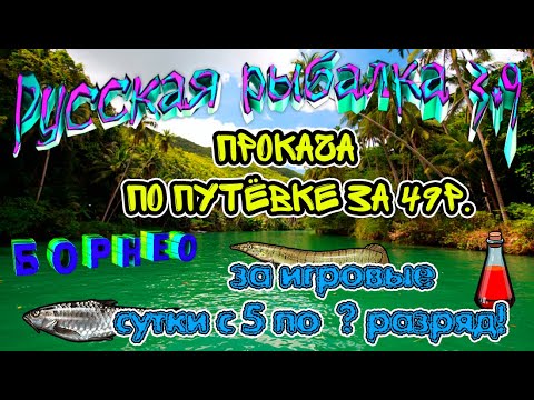 Видео: Русская  рыбалка 3.99. Прокачка с нуля.