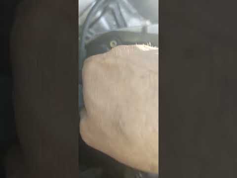 Видео: 9 ноября 2025 г.