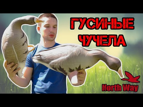 Видео: Гусиные чучела SOFTPLAST, NORTH WAY SUPERXPE #охота #гусиныечучела #манокнагуся