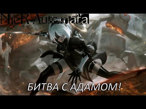 Видео: БИТВА С АДАМОМ! Прохождение NieR: Automata Часть 14!