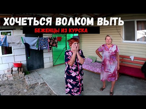 Видео: БЕЖЕНЦЫ ИЗ КУРСКА!ПРИЕХАЛИ В ГОСТИ У ДИМ САНЫЧУ!