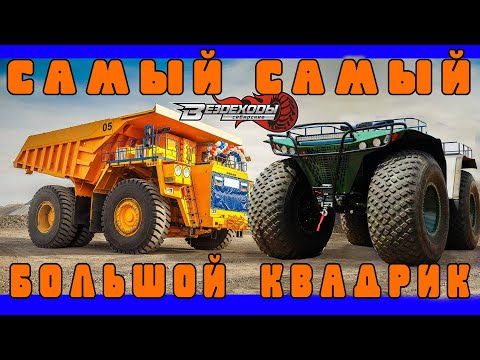 Видео: БИГ ПРОФИ