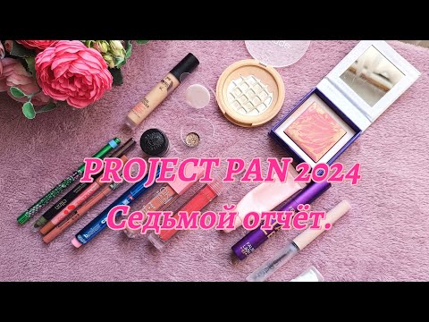 Видео: PROJECT PAN 2024. Седьмой отчёт.