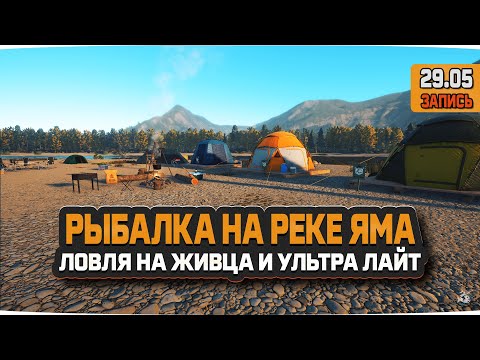 Видео: Рыбалка на реке Яма. Новые виды, новые впечатления и первый размот — Русская Рыбалка 4