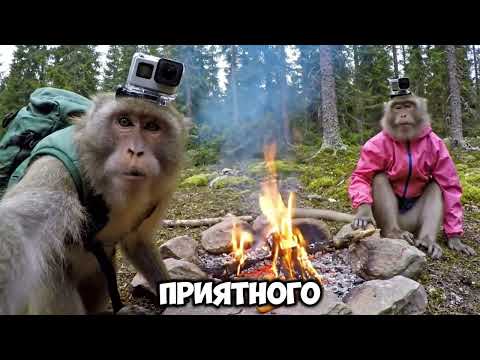 Видео: ТОП-10 самых страшных мест, где мы выживали