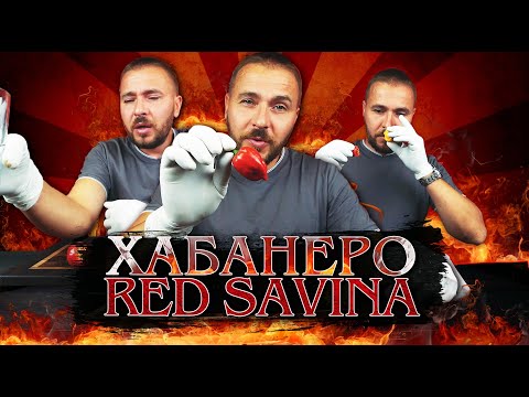 Видео: Самый острый перец Хабанеро. Жгучая дегустация.