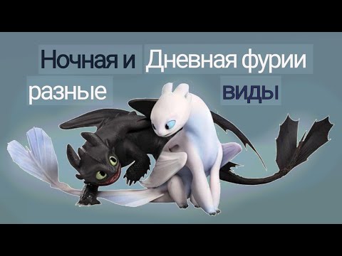 Видео: Ночная и Дневная фурии - разные виды