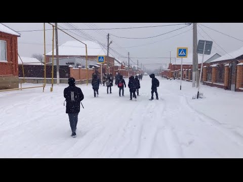 Видео: Дачу-Борзой | Зима