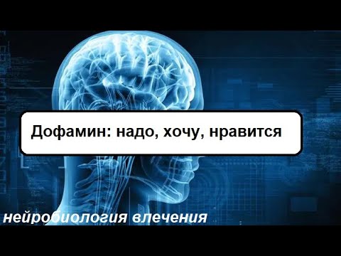 Видео: Дофамин: надо, хочу, нравится.