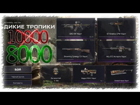 Видео: ТОП ДОНАТ за 8000 МОНЕТ в СОБЫТИЕ "ДИКИЕ ТРОПИКИ" | WARFACE / ВАРФЕЙС