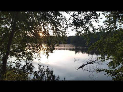 Видео: Карелия 2025. Часть 1. Путь в Карелию от Москвы до поселка Гимолы
