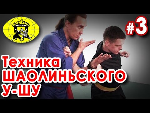 Видео: Техника Шаолиньского У-Шу - 3.