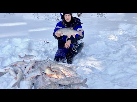Видео: Я ВСЕГДА МЕЧТАЛ ПОПАСТЬ НА ТАКУЮ РЫБАЛКУ! РЫБАЛКА - МЕЧТА РЫБАКА. ЗИМНЯЯ РЫБАЛКА 2021.