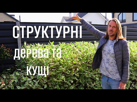 Видео: ЛАНДШАФТНИЙ ДИЗАЙН | СТРУКТУРНІ ДЕРЕВА ТА КУЩІ