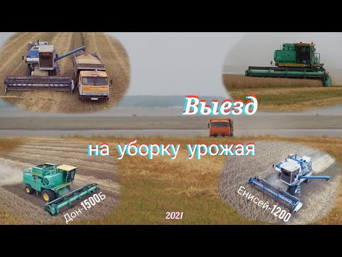 Видео: Выезд на уборку урожая 2021. Комбайны Дон-1500Б и Енисей-1200 бок о бок.