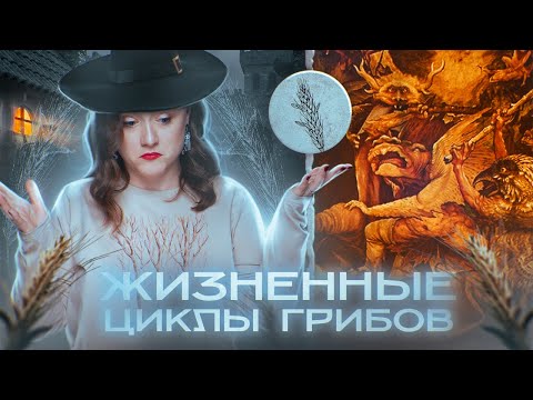 Видео: ЖИЗНЕННЫЕ ЦИКЛЫ ГРИБОВ | Все типы размножения грибов | ЕГЭ-2025